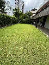 Peach Garden (D15), Semi-Detached #446528561